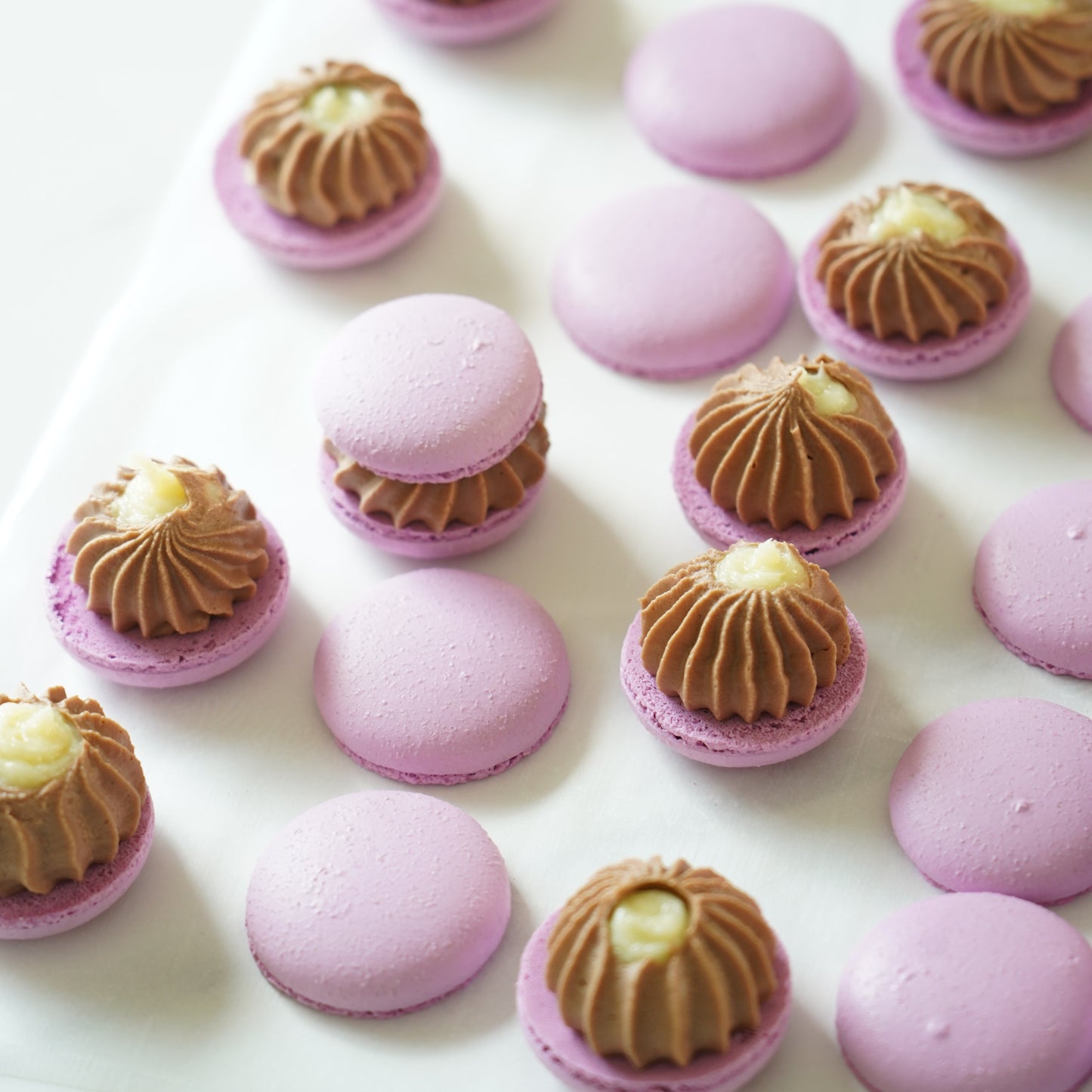 Pink macarons with gold filling on a white background