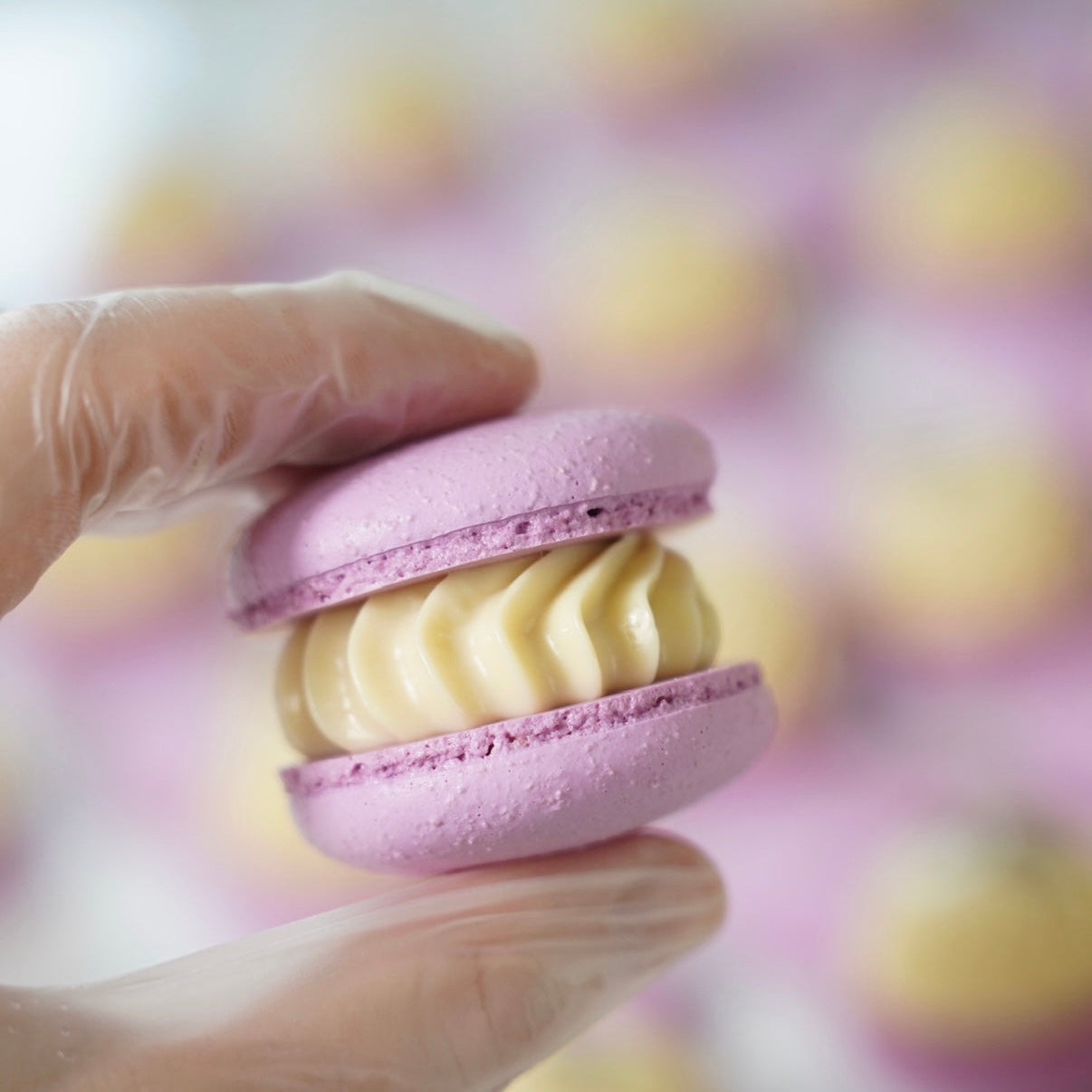 Hand holding a pink macaron with a blurred background of more macarons
