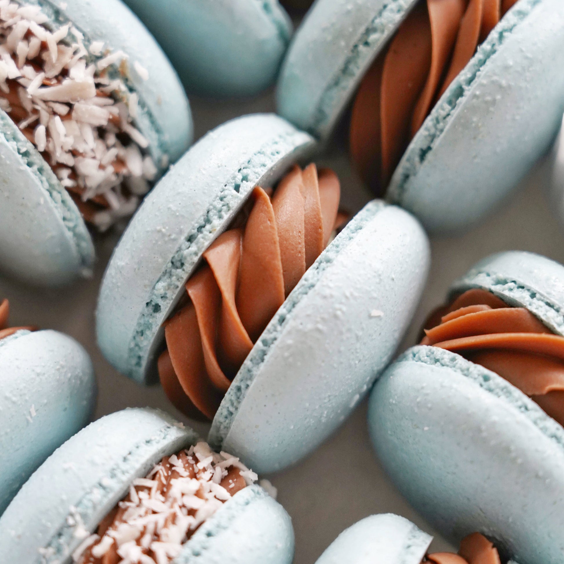 Close-up of light blue macarons with chocolate filling and coconut flakes.