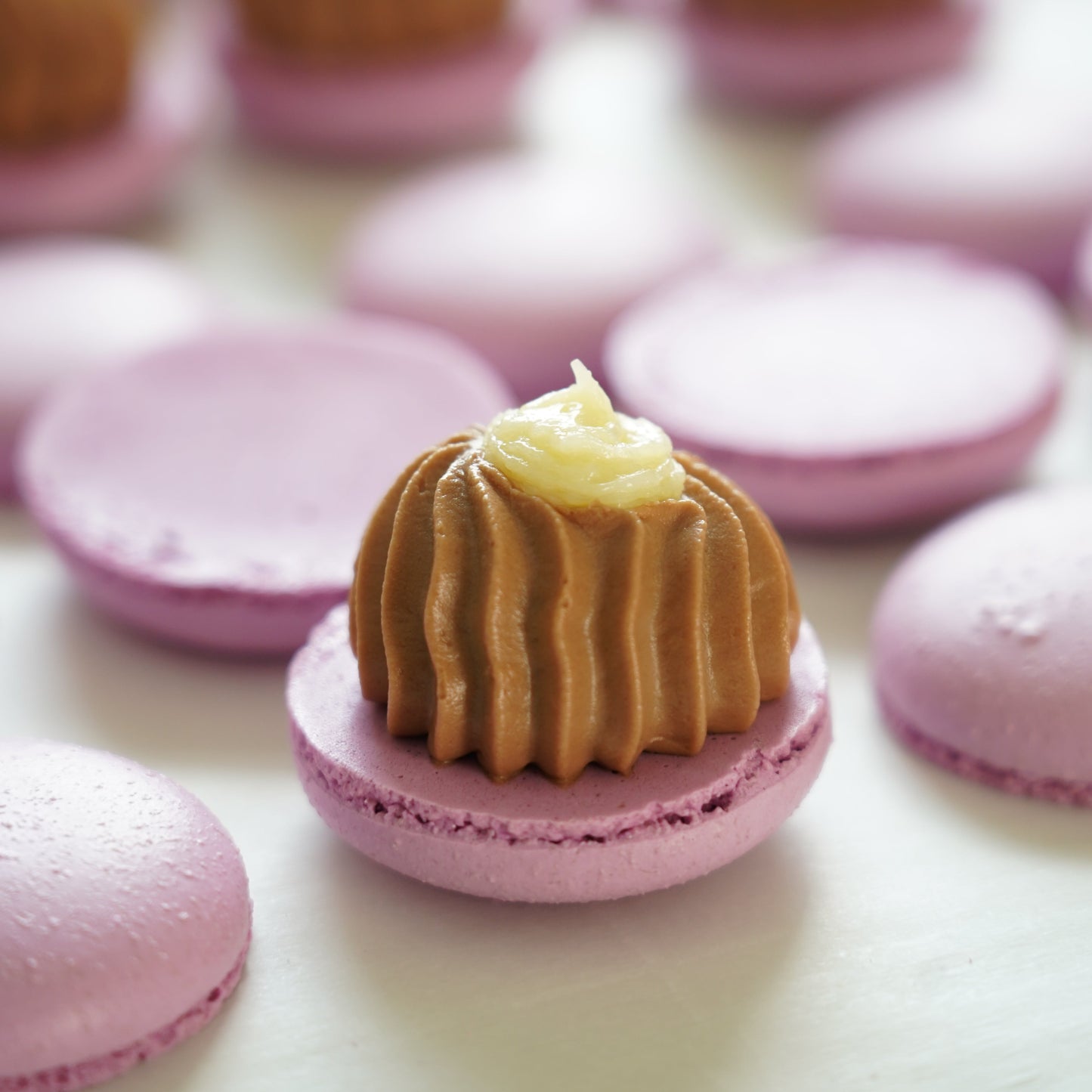 Close-up of pink macarons with a filling on a white background