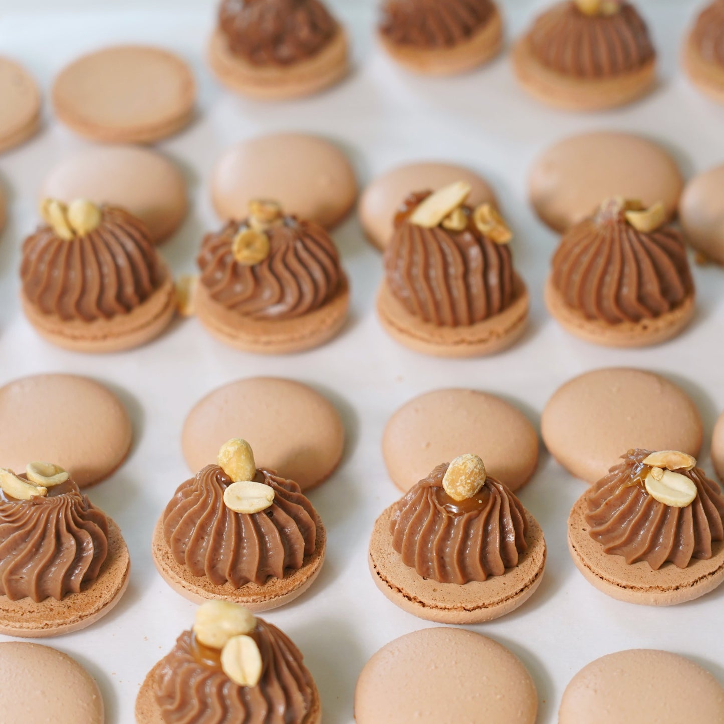 Macarons with chocolate filling and gold accents on a white surface.