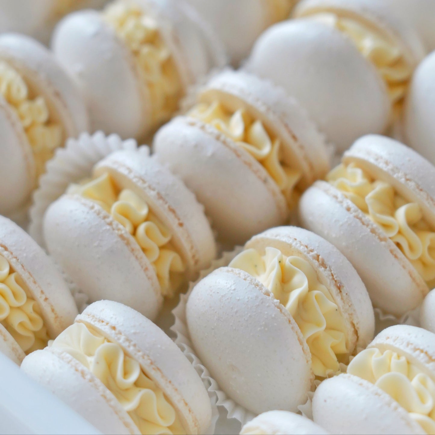 Close-up of white macarons with yellow filling on a white background